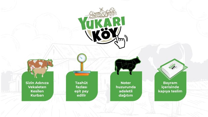 düiük fiyat vieosu video çalışmasından gerçek kare